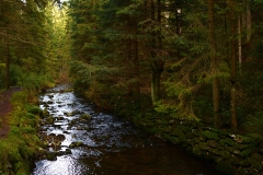 EU’s strong water legislation — the EU Water Framework Directive (WFD) — will not be changed!