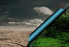 Who is insured by the PZU Group? Insurance companies faced with pandemic, crisis and energy transition