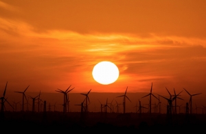 European Investment Bank to cease funding fossil fuel projects by end-2021