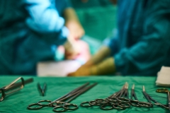 If banks aspire to be &#039;doctors of the economy&#039;, they must wield the scalpel against business that risks more pandemics.