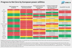 Key points from the Limited Utility report