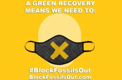 Block Fossils Out