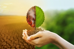 Santander ogłasza cel neutralności klimatycznej