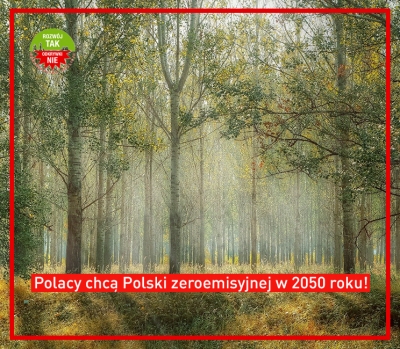 COP25: Premier Morawiecki nie zdał egzaminu z odpowiedzialności za przyszłość Polski!