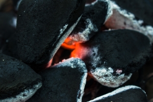 Major new coal support loan for Poland’s PGE, international bank consortium slammed