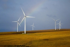 Efektywność energetyczna i rozwój odnawialnych źródeł energii to odpowiedź na kryzys klimatyczny i rosnące ceny energii